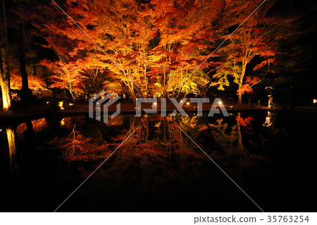 點亮栃木公園 點亮栃木公園 35763254