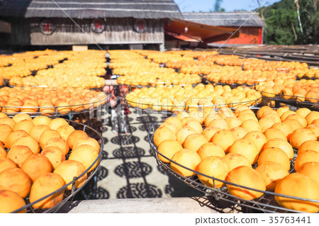 Hsinchu Persimmon 35763441