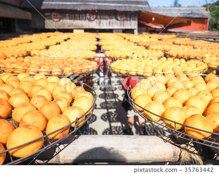 Hsinchu Persimmon Hsinchu Persimmon 35763442