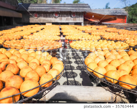 新竹柿餅 新竹柿餅 35763444