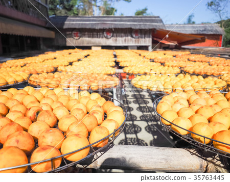 新竹柿餅 35763445