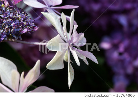 之間清湯 35764000