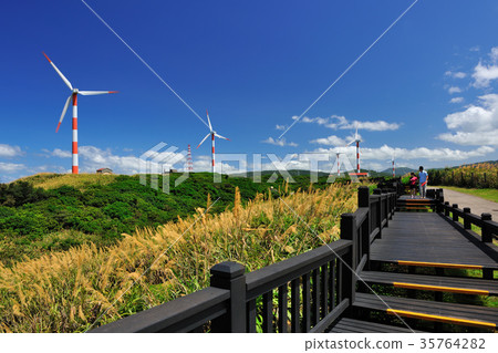 風車,風力發電,發電廠,能源,節能減碳,綠能,綠色能源,儲存,環保,新北市,濱海 風車,風力發電,發電廠,能源,節能減碳,綠能,綠色能源,儲存,環保,新北市,濱海 35764282