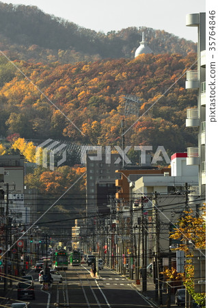 Yellow leaf algae rock mountain and train street 35764846