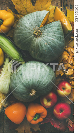 Fall colorful vegetables assortment over wooden Fall colorful vegetables assortment over wooden 35765103