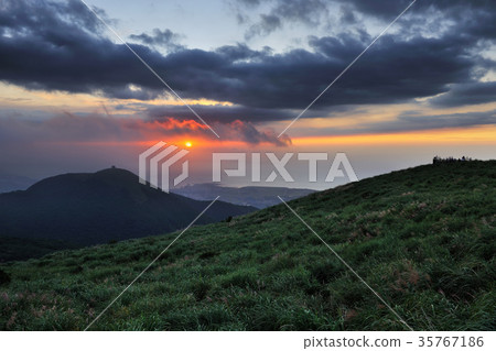 台灣,台北市,大屯山,大屯山夕陽,芒草,芒花,天,山,北投區,雲彩,夕陽,落日,黃昏,彩霞 35767186