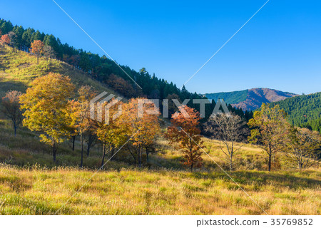 Tonomine Plateau　 35769852