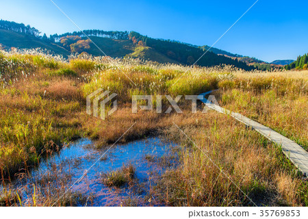 Tonomine Plateau　 35769853