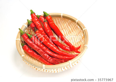 Capsicum Capsicum 35773967