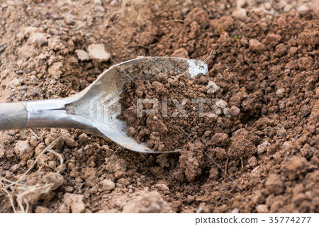 Shovel in the soil Shovel in the soil 35774277