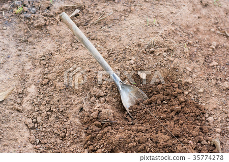 Shovel in the soil Shovel in the soil 35774278