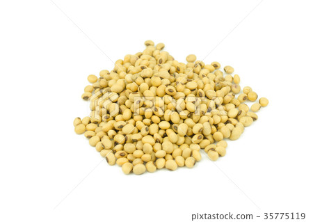 soy beans isolated on white background. 35775119