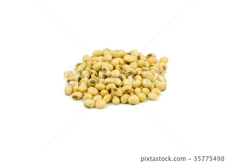 soy beans isolated on white background. soy beans isolated on white background. 35775498