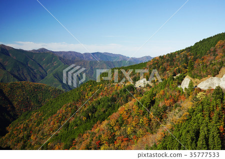 Valley of autumn leaves 35777533