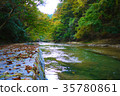 Japan / Chiba / Pension Valley / Autumn / Nature 35780861