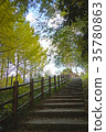 Japan / Chiba / Trail / Autumn / Nature 35780863