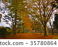 Japan / Chiba / Trail / Autumn / Nature 35780864
