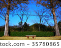 Japan / Chiba / Trail / Autumn / Nature 35780865