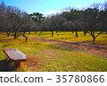 Japan / Chiba / Trail / Autumn / Nature 35780866