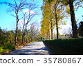 Japan / Chiba / Trail / Autumn / Nature 35780867
