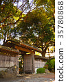 Japan / Chiba / House / Japanese / Autumn / Nature 35780868