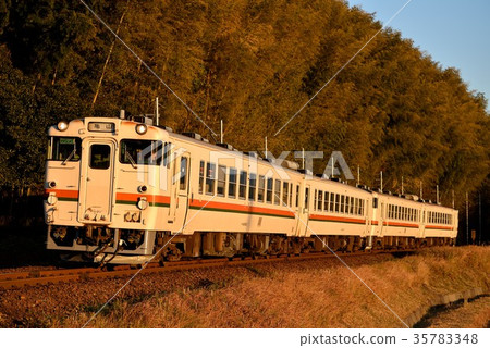 Four Kiha 48 series local trains running on the Sangu Line 35783348