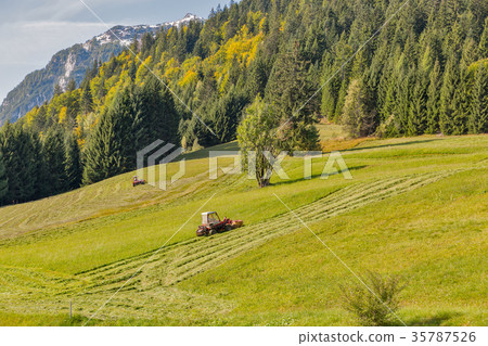 tractor mowing grass on an alpine lawn tractor mowing grass on an alpine lawn 35787526