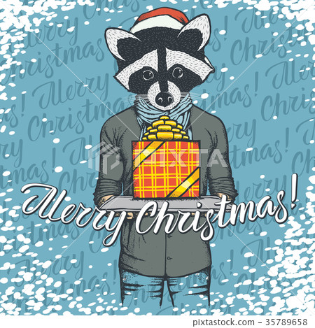 Vector raccoon on Christmas with gift Vector raccoon on Christmas with gift 35789658