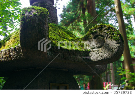 Fuji Mikuro Asama Shrine 35789728