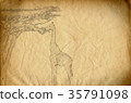 Drawing of a giraffe eating spruce leaves 35791098