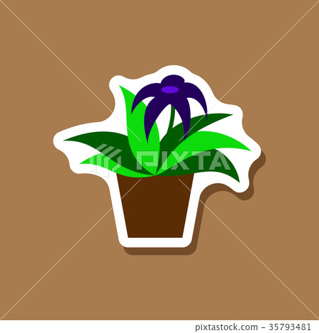 paper sticker on stylish background Gerbera in a paper sticker on stylish background Gerbera in a 35793481