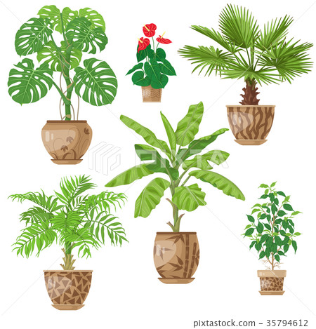 Potted Plants Set 35794612