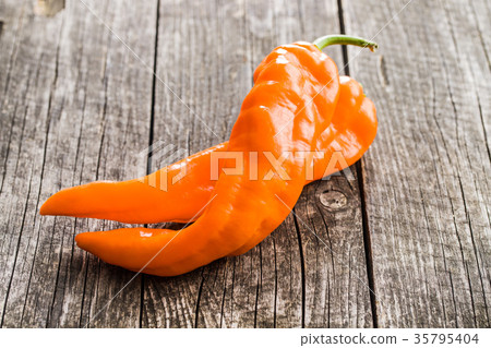 Orange pepper vegetable. 35795404