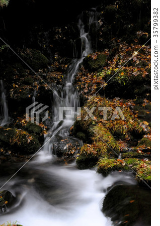 Motoyuki underwater water Motoyuki underwater water 35799382