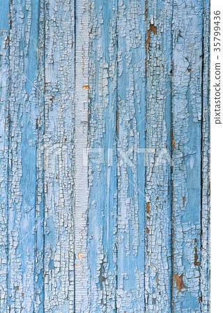 An old wooden surface of blue and white, cracked An old wooden surface of blue and white, cracked 35799436
