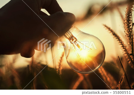 light bulb with sunset nature background 35800551
