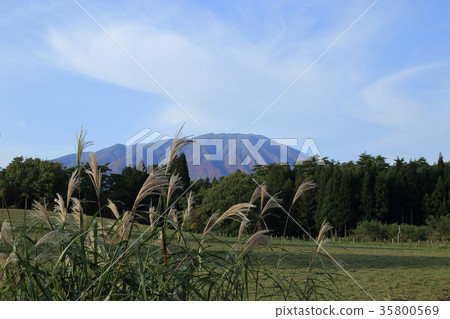 牧場和岩手山(Sh石町)的壽司 牧場和岩手山(Sh石町)的壽司 35800569