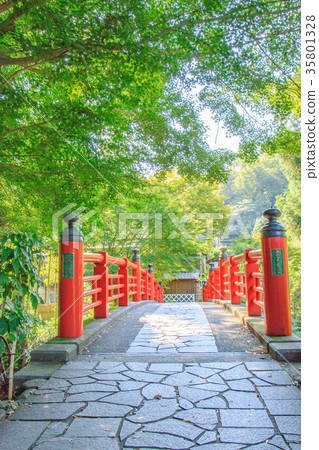 修善寺Kaedebashi 修善寺Kaedebashi 35801328