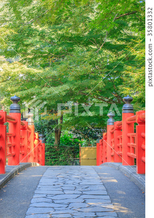 Shuzenji Kaedebashi Shuzenji Kaedebashi 35801332