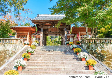 Fukuchiyama Shuzenji Fukuchiyama Shuzenji 35801713