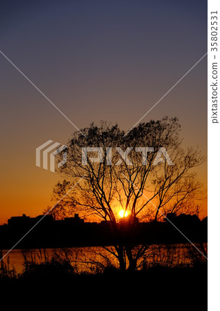 Winter sunset Winter sunset 35802531
