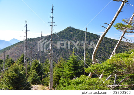 八Kyogatake 35803503