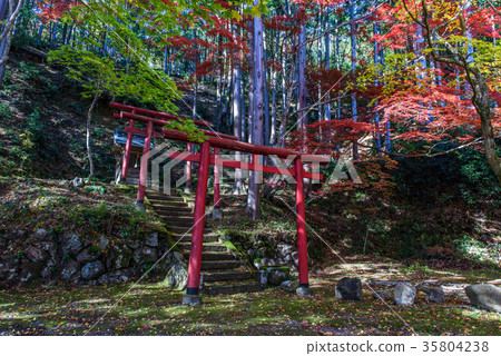 Toko-ji Temple Fall Autumn leaves Toko-ji Temple Fall Autumn leaves 35804238