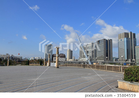 Tokyo Odaiba city scenery 35804559