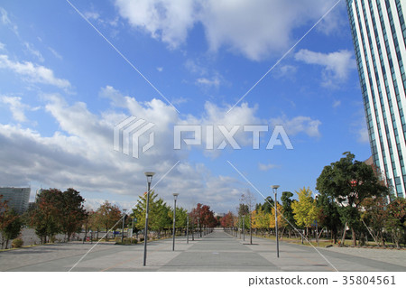 東京台場市風景 35804561