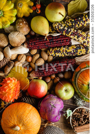 autumn harvest autumn harvest 35808106