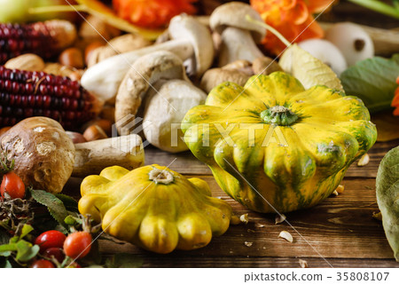 autumn harvest autumn harvest 35808107