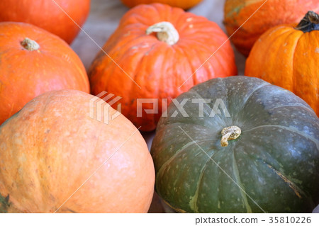 南瓜轟隆隆 35810226