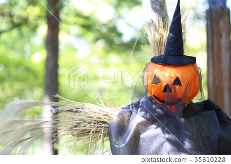 萬聖節快樂！ 35810228