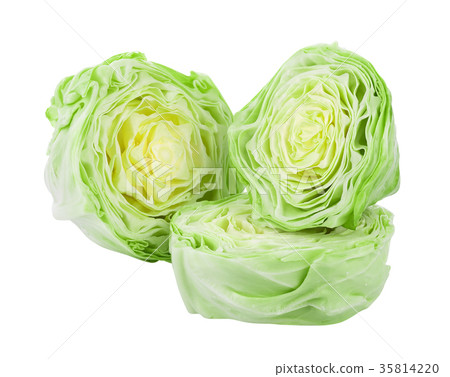 pointed cabbage isolated on white background 35814220